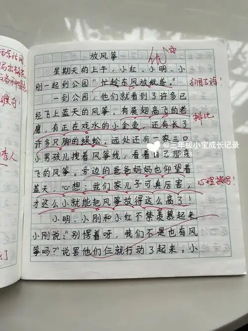 三年级小宝作文放风筝