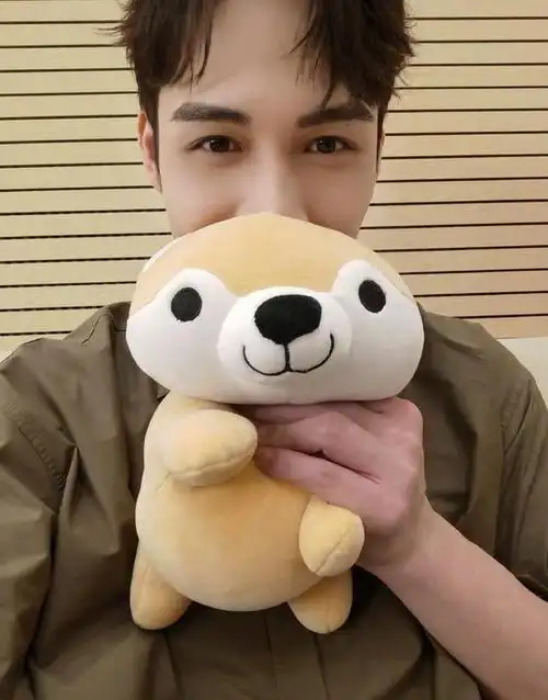 拿着两人合影的玩偶,女孩子拿玩偶看起来非常可爱,但张彬彬拿着玩偶