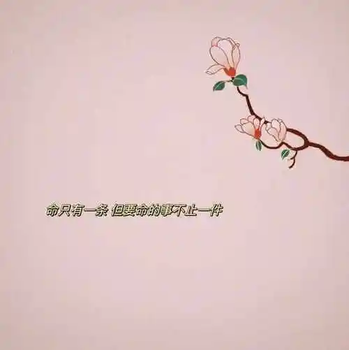 22句抖音很火的句子允许遗憾允许付出没有回报