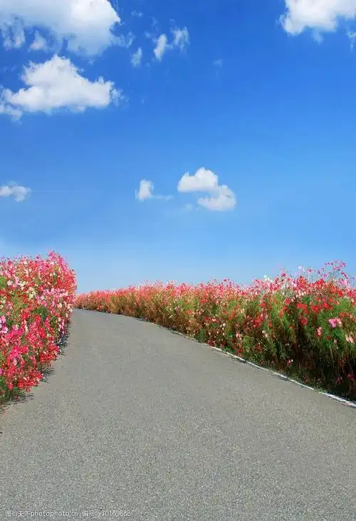 欧式主题婚礼 教堂摄 影 教堂素材 背景 建筑设计 复古 神圣 影楼背景