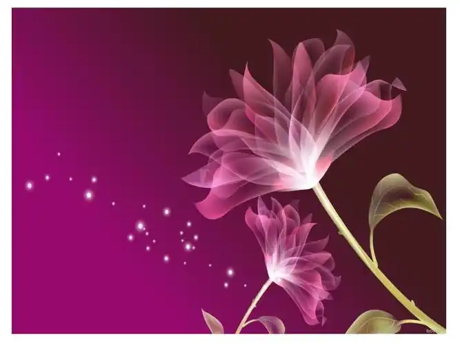 漂亮的模板大全-经典背景图片课件_第1页