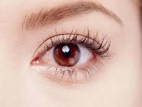 从眼睛的20种形状看富贵,你是属于哪一种?