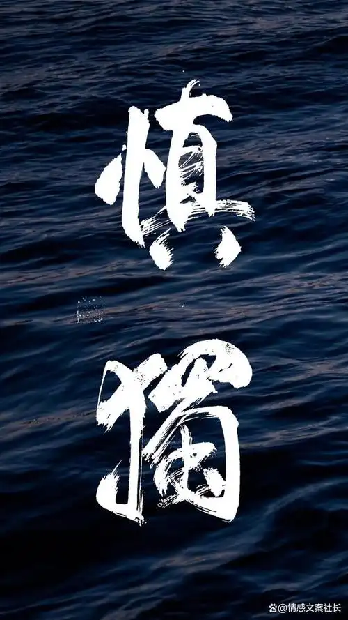 情感文案社长 随性的自己 壁纸自取