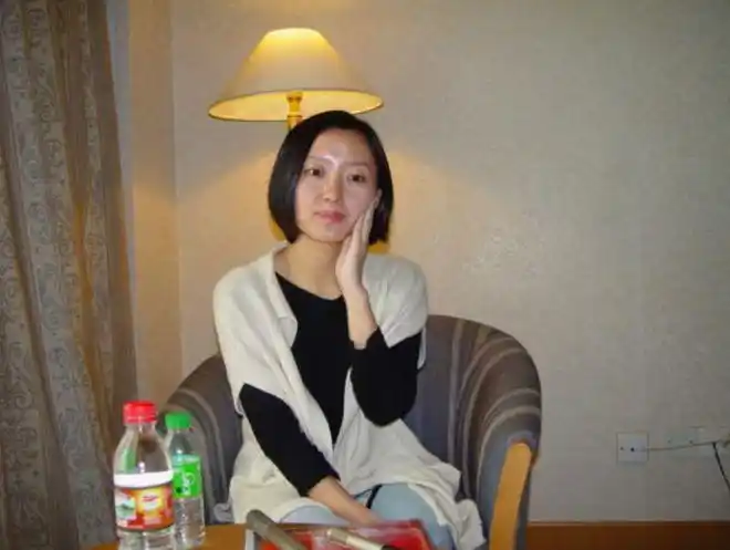 柴静从公知女神因何被全网群嘲赴美生子后如今过得如何