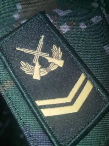 当兵的请进,这领章是正品吗?