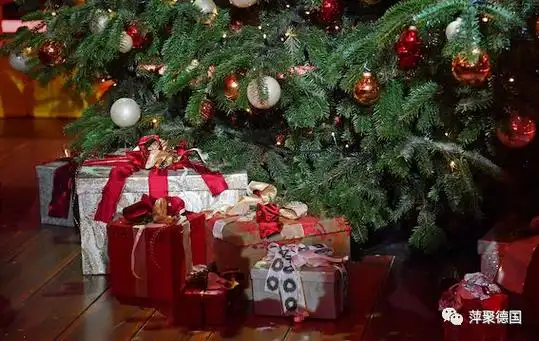 德国2023年圣诞节礼物及其花销