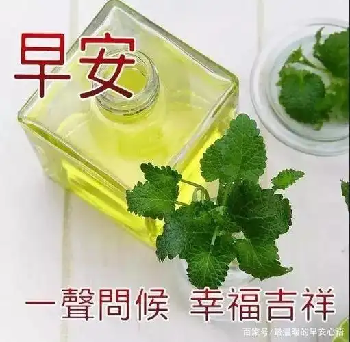 早安祝福语图片带字美图 早晨好唯美暖心祝福问候朋友温馨句子