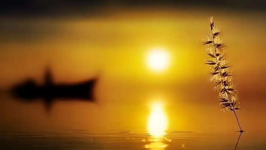 致自己心静的句子,一句话致自己的心情(心静是人生至高的境界)