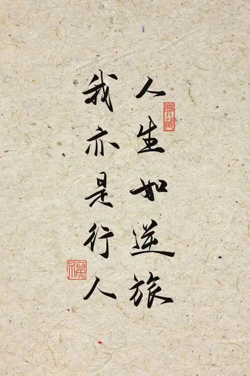 手写壁纸|人生如逆旅,我亦是行人.