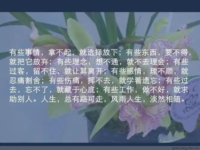 《多瑙河》人生哲理(图文)