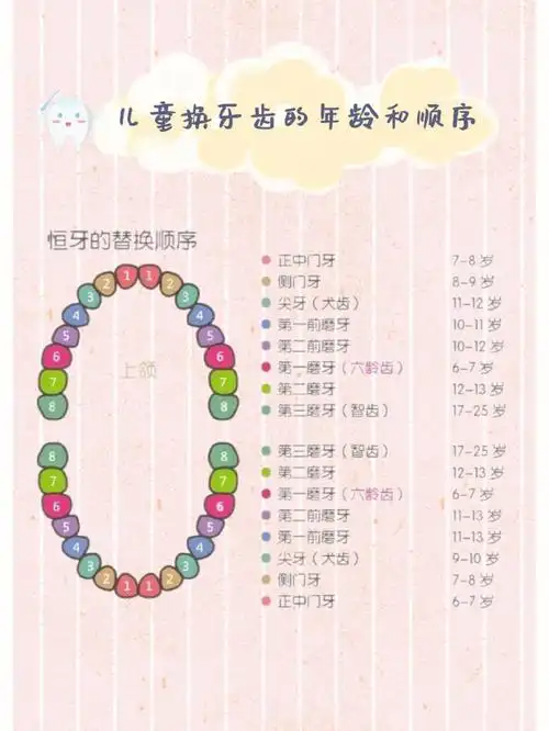 在日益精细化饮食的今天,孩子的牙齿问题也越来越多,儿童牙齿健康也