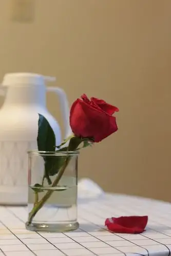 公司发的玫瑰花