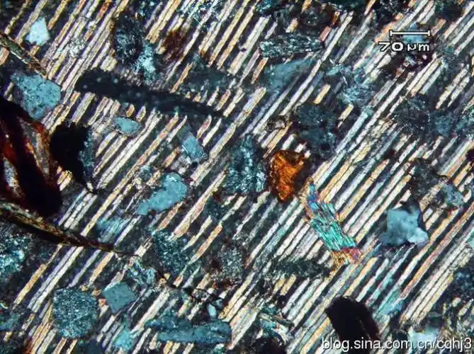 19呈连生式充填胶结的方解石,具统一的消光方位及双