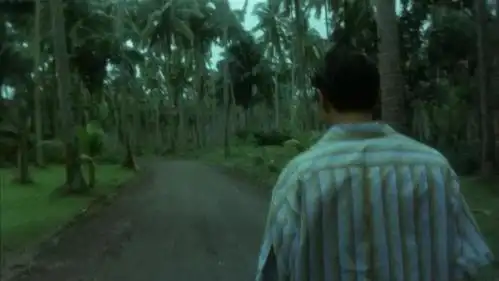 阿飞正传:配角刘德华的配角爱情