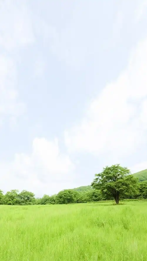 养眼绿色护眼草原风景