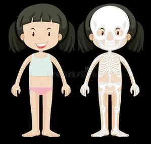 女孩和骨架图