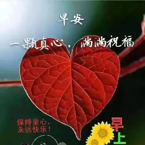 超级漂亮的早上好暖心问候语腊月清晨早安问候语表情图片