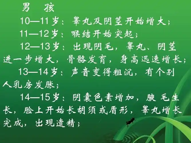 宗教 男生青春期教育 (恢复)ppt 男 孩 10—11岁:睾丸及阴茎开始增大