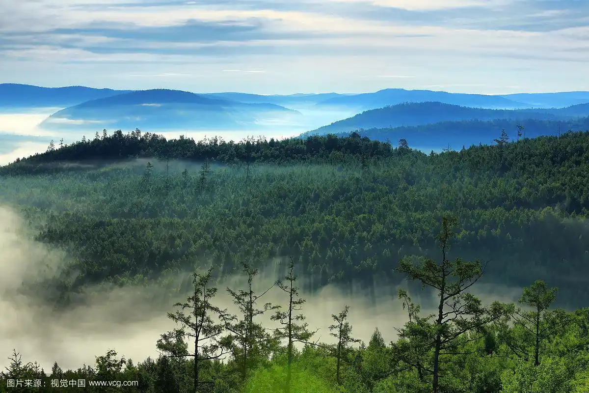 大兴安岭原始森林