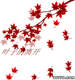 249_265gif 动态图 动图