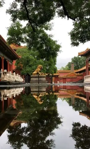 雨后的故宫博物院,积水寸许,波平如镜,如梦似幻 - 小企鹅的向往 - 图