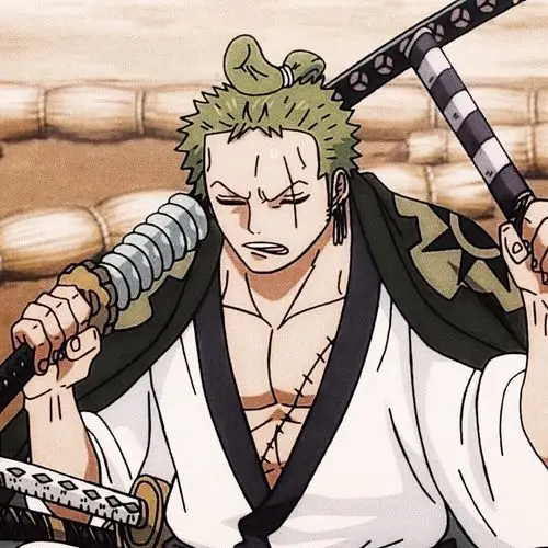 海贼王 (头像) 最爱索隆图源vb.