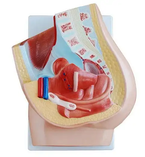 盆腔积液:女人都可能有的问题,你中招了么?