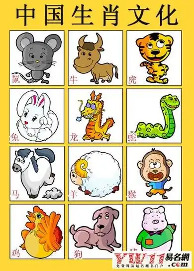 未来一个月生肖配对表图 未来一个月决定我过年的样子图片