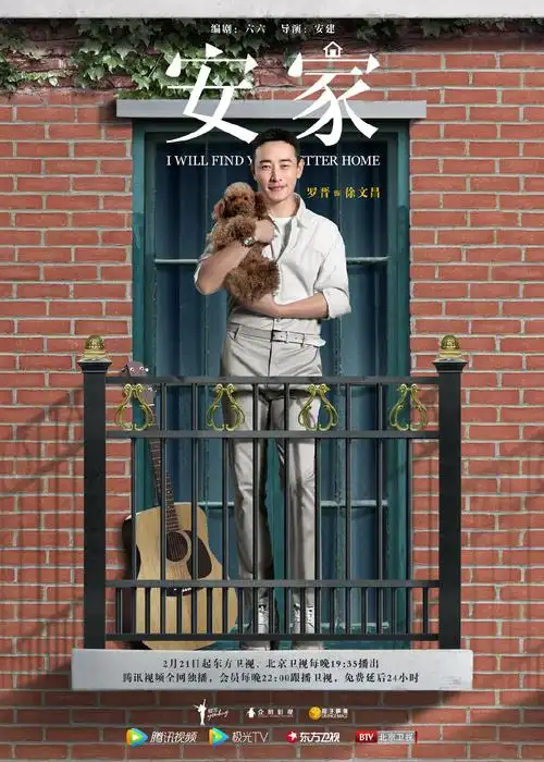 电视剧安家定档海报图片