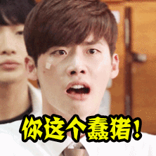 你这个蠢猪gif生气gif