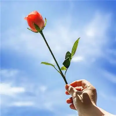 2020微信风景头像图片