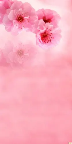 摄影背景布高清大图影楼棚拍照片常用的背景素材-春天的花儿背景30p