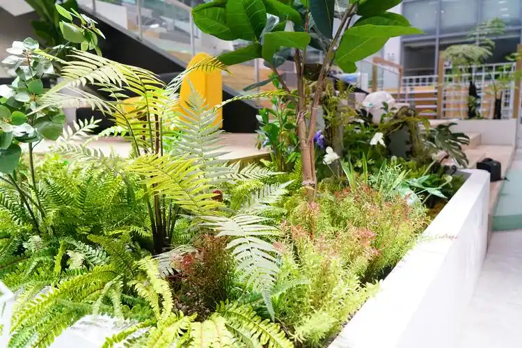 一进大厅,艺术猩猩雕塑很吸引眼球,种植池内植物搭配很精致