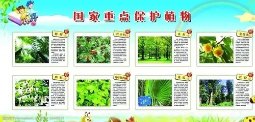 国家重点保护植物图片