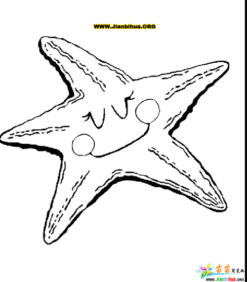 海星简笔画 海星简笔画图片 | 多想派