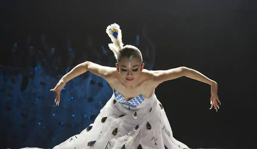 1986年,杨丽萍迎来事业巅峰,独创的独舞《雀之灵》引起很大反响,手臂