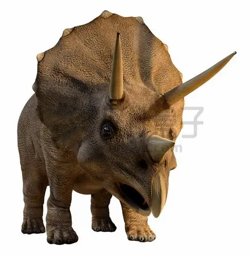 逼真的三角龙草食恐龙复原图png图片素材