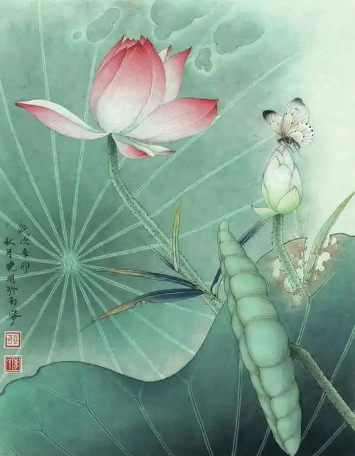 4幅工笔荷花白描染色步骤图,关注细节,注重写实!