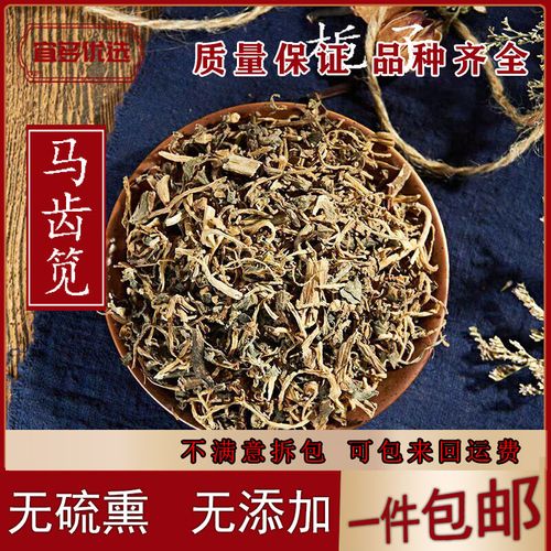 马齿笕 包邮 野生马齿苋 新鲜 马齿菜 蚂蚁菜 中药材 批发 零售