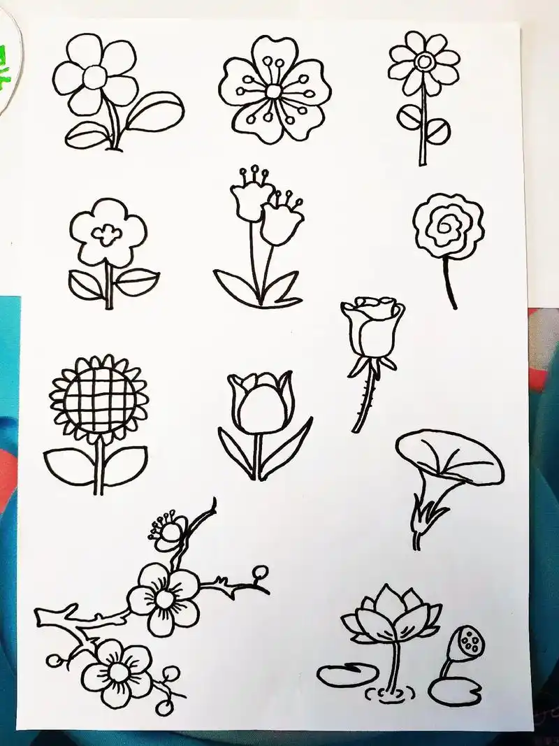 小朋友们轻松学会的100种简笔画~#图文伙伴计划  这100 - 抖音