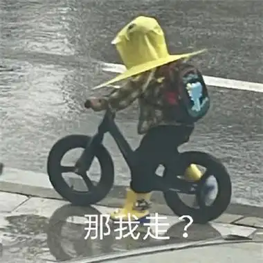 那我走什么梗-那我走表情包-软件风向标