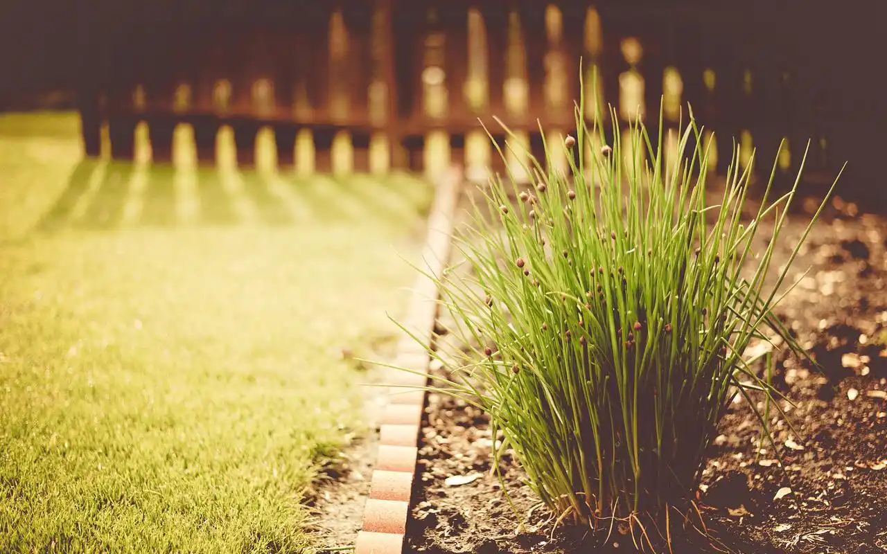 午后阳光温暖意境壁纸