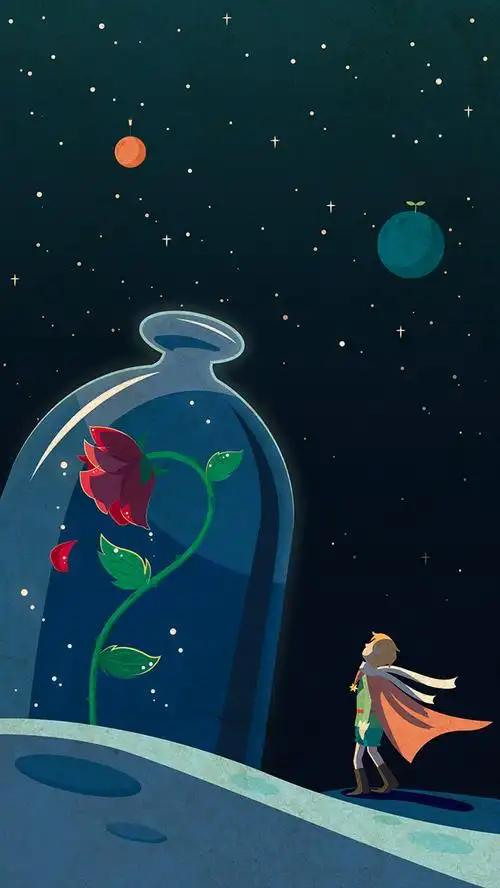 小王子治愈系插画玫瑰夜