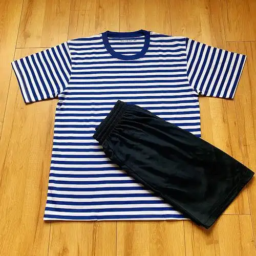 篮；晟捞迥服训练服套装男夏季体能服短袖蓝白条纹训练t恤军迷海军