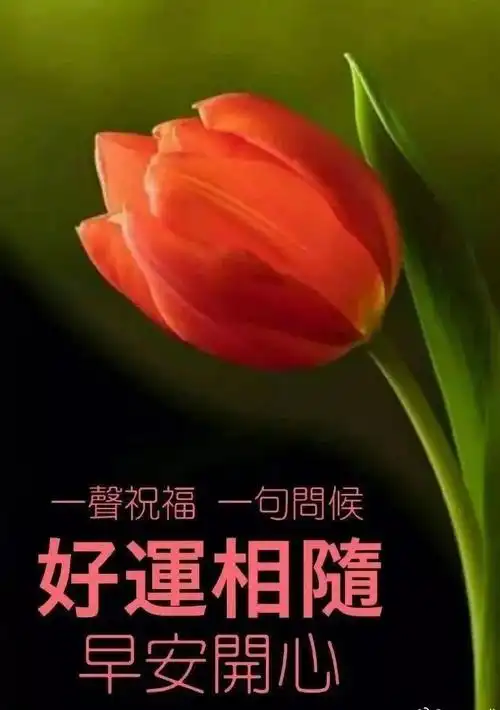 8张最美春日鲜花早上好图片带字带祝福语 特别漂亮的早安免打字问候