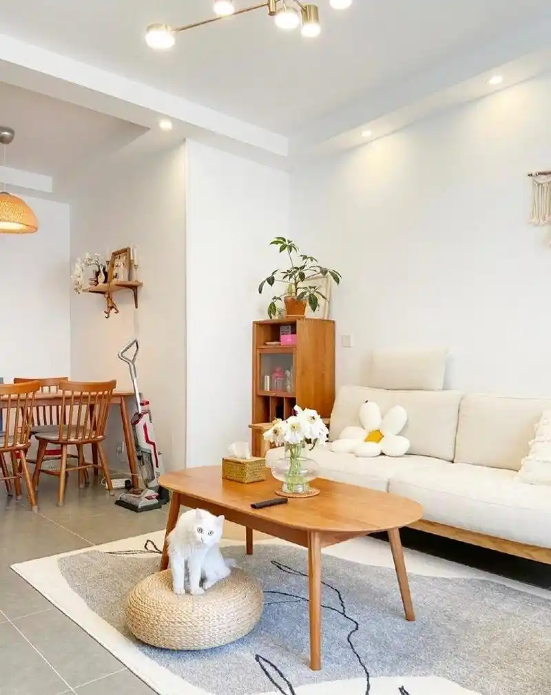 小清新的日式客厅装修搭配,是一天放松心情的好地方.