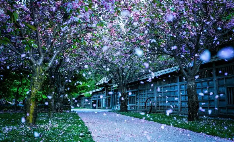 有关伤感唯美句子大全