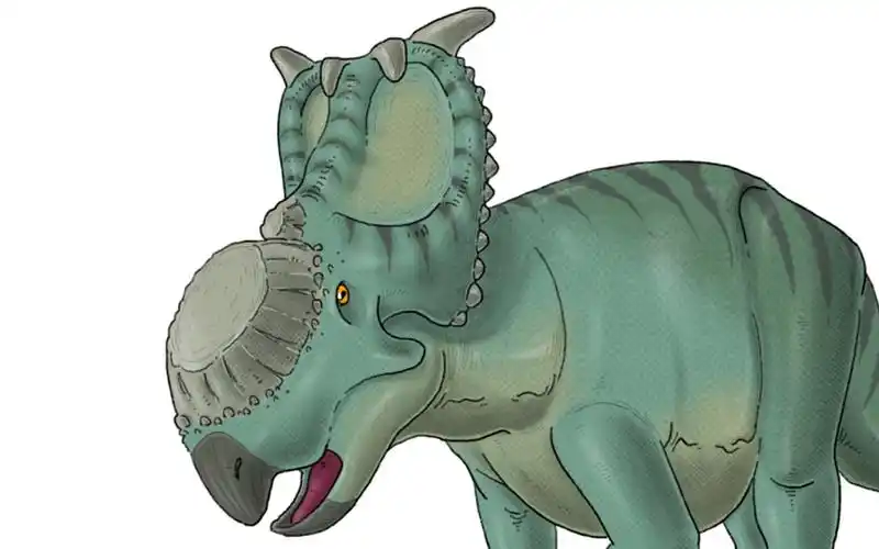 ipad绘画厚鼻龙绘画过程