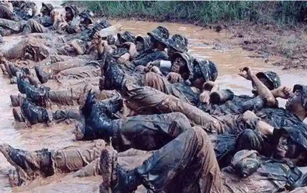 龙焱特种部队存在吗存在总兵力2000曾歼灭越南