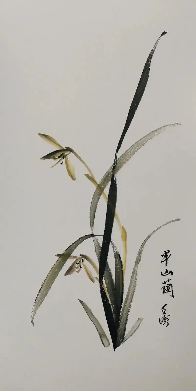 大写意兰花 #半山写兰 #兰花国画  - 抖音